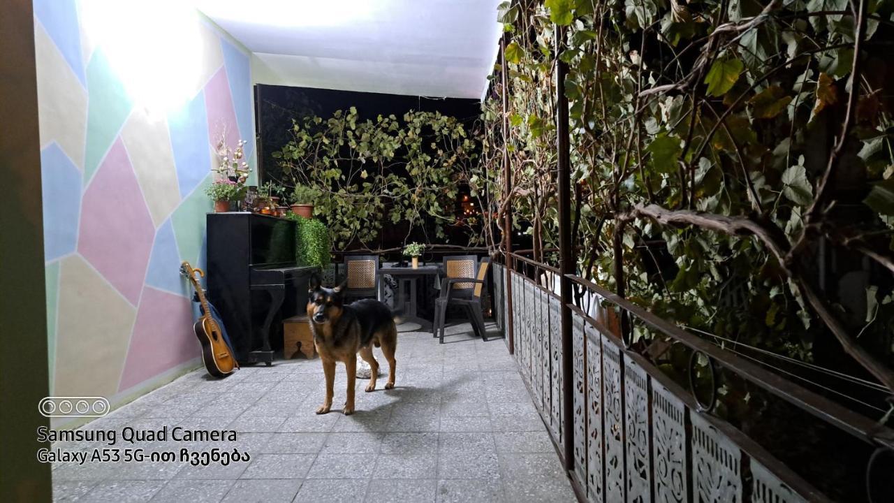 Apartment With A Nice Terrace In Old City Center Tbilissi Extérieur photo